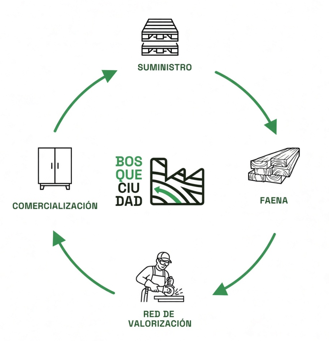 Diagrama del modelo de economía circular de Bosque Ciudad