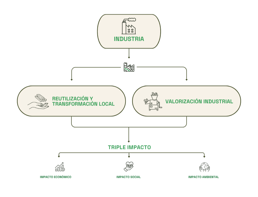 Infografía del modelo de economía circular de Bosque Ciudad