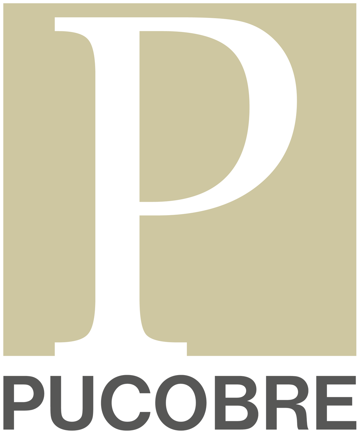 Logo de Pucobre